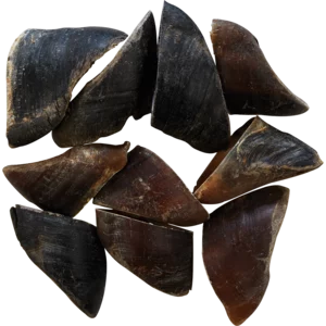Pet Shop Cow Hoof Dog Chews 10 Pack