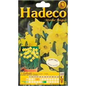 Hadeco Daffodil Flower Carpet Bulbs 7 Pack Hadeco Daffodil Flower Carpet Bulbs 7 Pack
