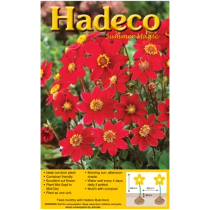 Hadeco Red Top Mix Dahlia Bulb