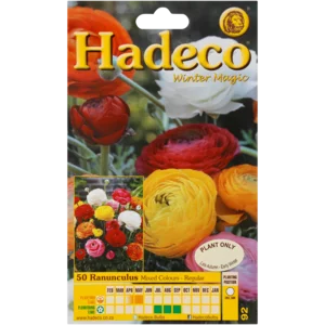 Hadeco Mixed Ranunculus Bulbs 50 Pack