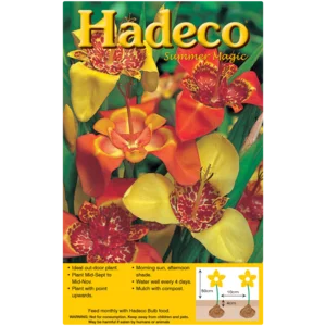 Hadeco Tigridia Pavonia Bulbs 15 Pack Hadeco Tigridia Pavonia Bulbs 15 Pack