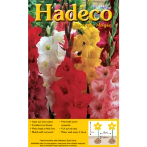 Hadeco Gladiolis Mixed Bulbs 85 Pack Hadeco Gladiolis Mixed Bulbs 85 Pack
