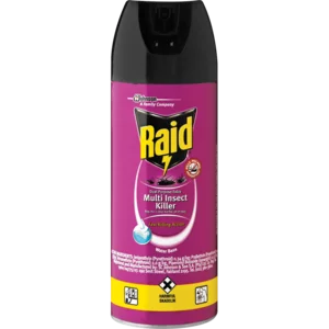 Raid Dual Odourless Insecticide 300ml