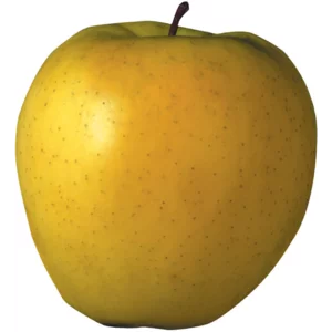 Golden Extra Large Apple Single Golden Extra Large Apple Single
