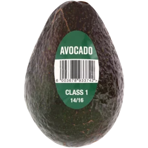 Avocado Single Avocado Single
