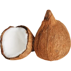 Coconuts Single Coconuts Single