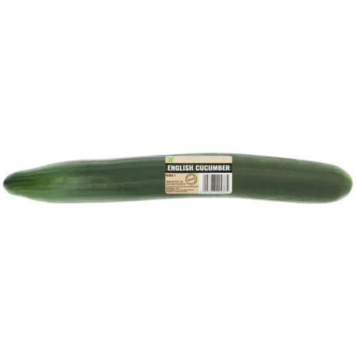 English Cucumber Single English Cucumber Single