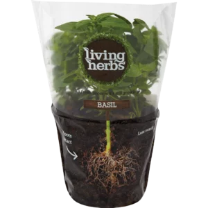 Living Herbs Fresh Basil Living Herbs Fresh Basil