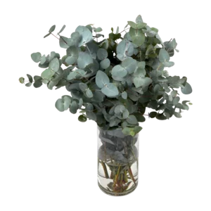 Flowers Fillers Mix Bunch (Vase Not Included) Flowers Fillers Mix Bunch (Vase Not Included)