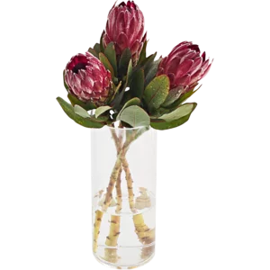 Protea Flowers Bouquet (Vase Not Included)