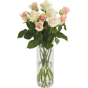 Two-Tone Pastel Rose Bouquet (Vase Not Included) Two-Tone Pastel Rose Bouquet (Vase Not Included)