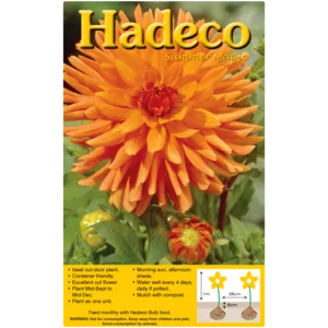 Hadeco Orange Dahlia Cactus Bulb