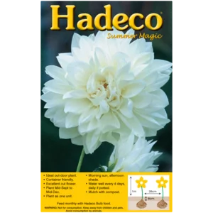 Hadeco Decorative White Dahlia Bulb