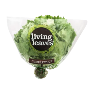 Living Leaves Crisp Lettuce Living Leaves Crisp Lettuce