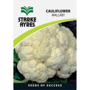 Starke Ayres Cauliflower Variety Vegetable Seeds Starke Ayres Cauliflower Variety Vegetable Seeds