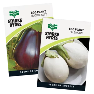 Starke Ayres Variety Egg Plant Seeds Starke Ayres Variety Egg Plant Seeds