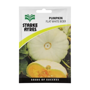 Starke Ayres Flat White Boer Pumpkin Seeds 10g Starke Ayres Flat White Boer Pumpkin Seeds 10g