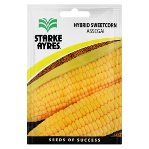 Starke Ayres Assegai Hybrid Sweetcorn Vegetable Seeds Starke Ayres Assegai Hybrid Sweetcorn Vegetable Seeds