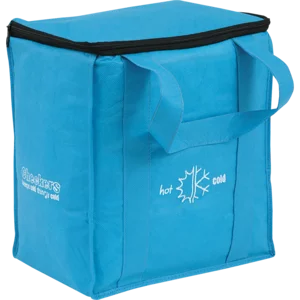 Checkers Teal Thermal Bag