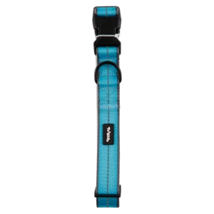 Petshop Large Blue Reflective Dog Collar