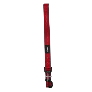 Pet Shop Reflective Leash Medium Red