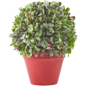 Frosted Greenery With Berries Table Top Small Pot Plant Frosted Greenery With Berries Table Top Small Pot Plant