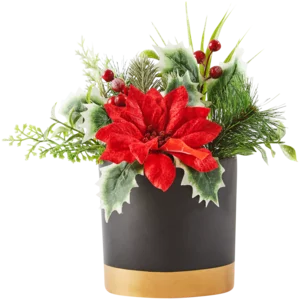 Poinsettia & Berry Table Top Pot Plant 28cm