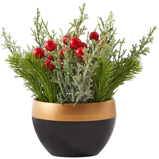 Frosted Cedar Table Top Christmas Tree 20cm Frosted Cedar Table Top Christmas Tree 20cm