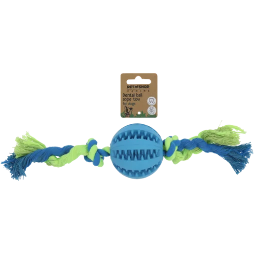 Pet Shop Green & Blue Dental Rubber Ball Dog Toy