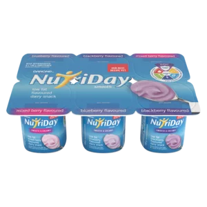 Danone Nutriday Low Fat Flavoured Dairy Snack 6x100g