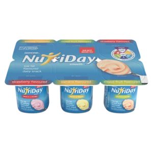 Danone Nutriday Low Fat Flavoured Dairy Snack 6x100g