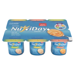 Danone Nutriday Low Fat Flavoured Dairy Snack 6x100g