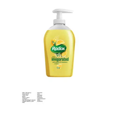 Radox Hand Wash Feel Invigorated 300ml
