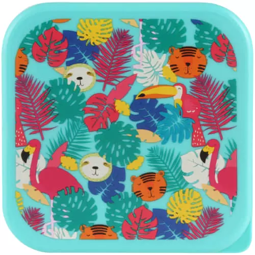 Clicks 2-Piece Lunch Box Tropical Clicks 2-Piece Lunch Box Tropical