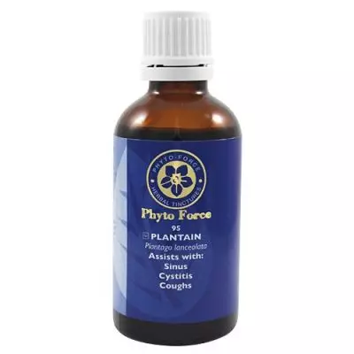 Phyto Force Plantain 50ml