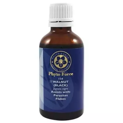 Phyto Force Walnut Black 50ml Phyto Force Walnut Black 50ml