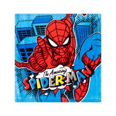 Face Cloth Embroidery Baby Spiderman
