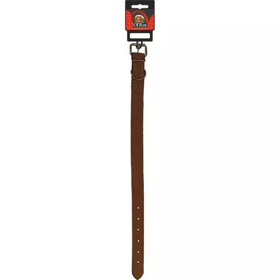 Ol Roy Leather Collar #3 Ol Roy Leather Collar #3