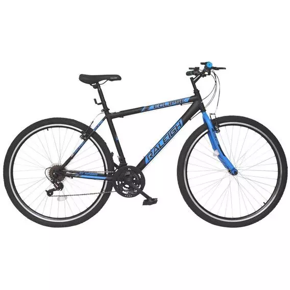 Raleigh 29