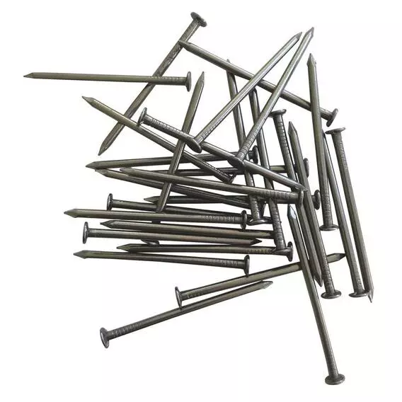 Fastener Solutions 40g 25X1.6mm Wire Nails Flat Head