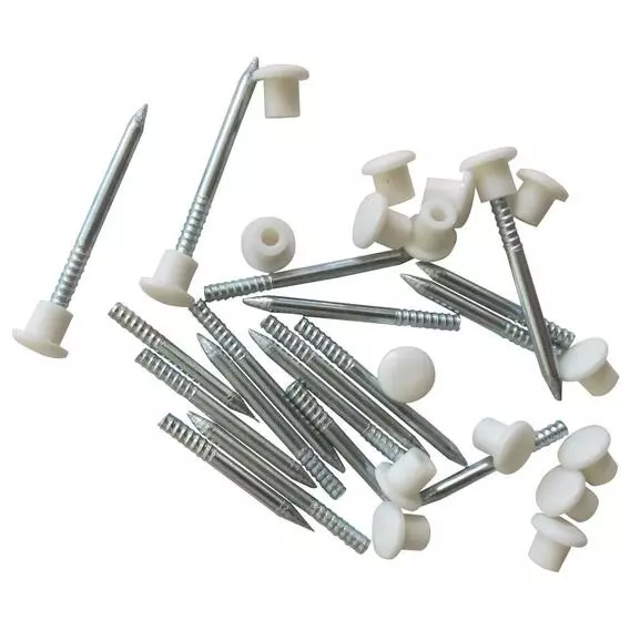 Fastener Solutions Medium Picture Pin&Cap AF