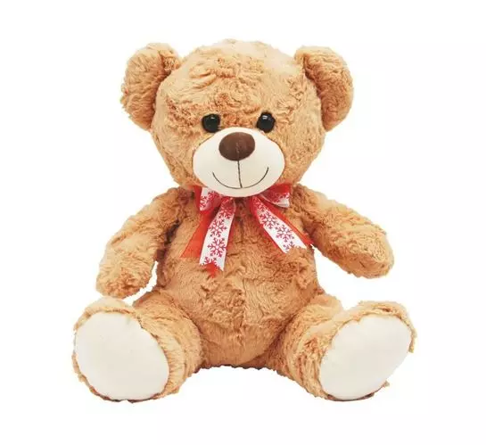 37 cm Bear Plush