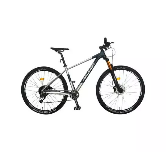 Raleigh 29