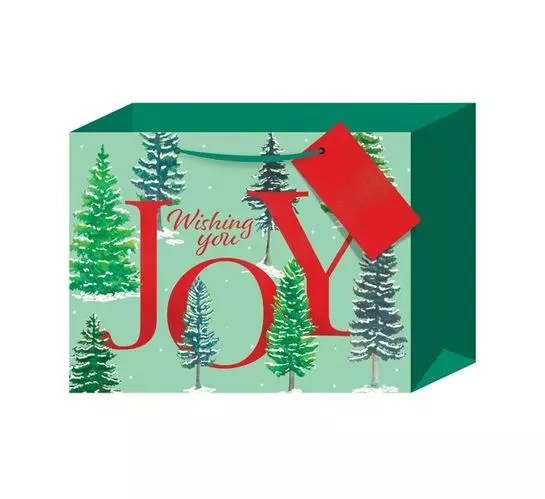 Creative Stationery Looks Gift Bag