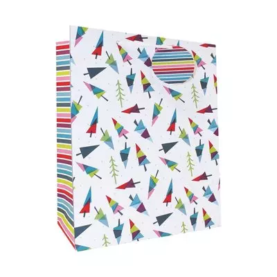 Creative Large Gift Bag Assorted