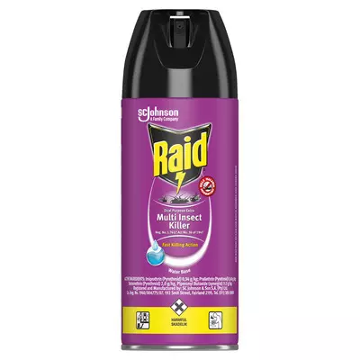 Raid Dual Purpose Insect Killer 300ml