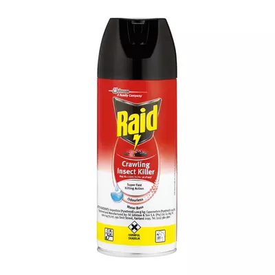 Raid Superfast Odourless Insecticide 300ml