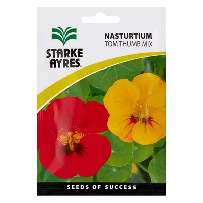 Starke Ayres Summer Flower Per Packet 15g