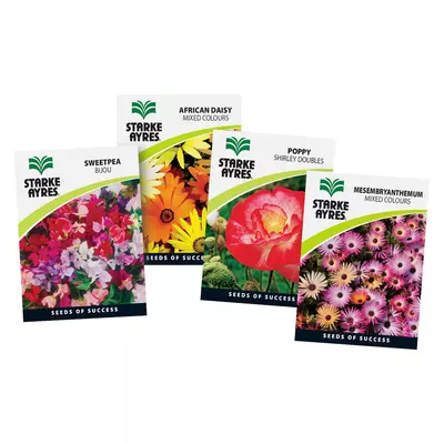 Starke Ayres Winter Flower Per Packet 15g