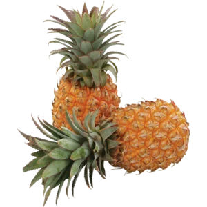 Medium Queen Pineapple Single Medium Queen Pineapple Single